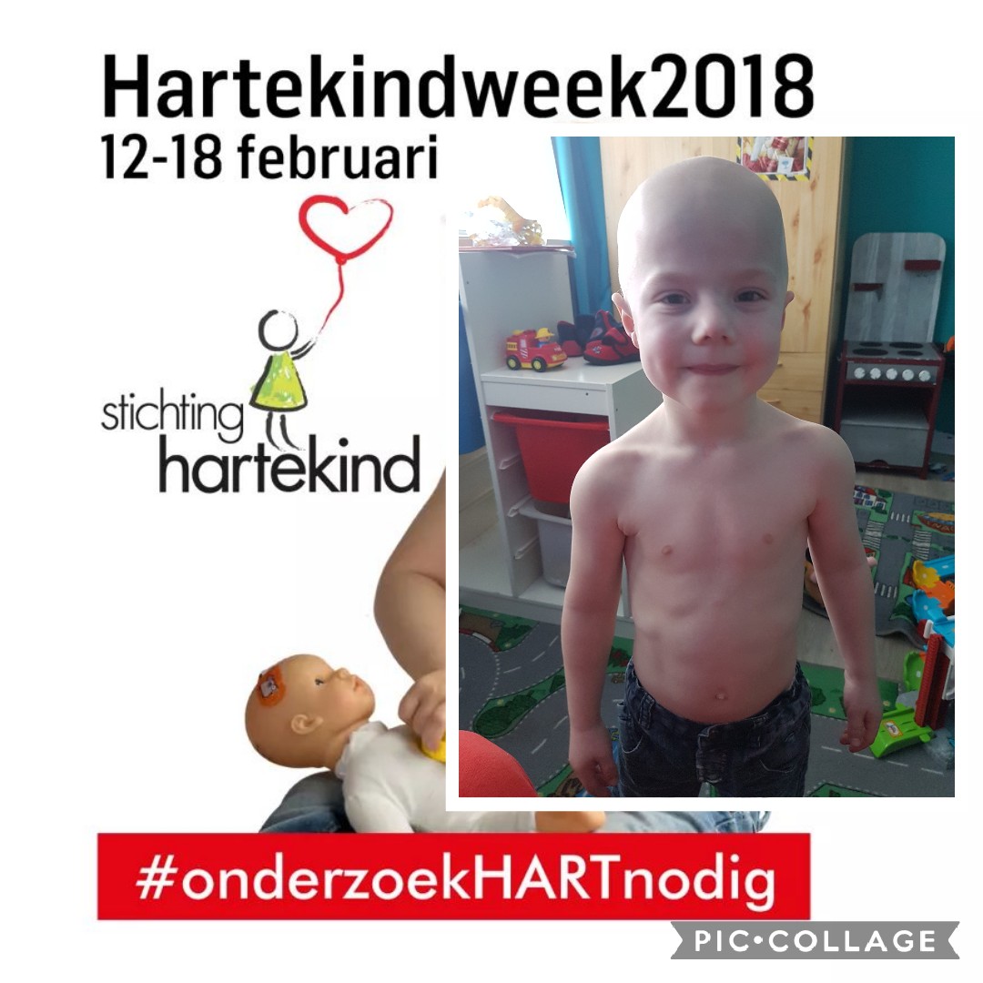 Steun Doneer Aan Stichting Hartekind Kom In Actie En Doneer Online Geef Nl