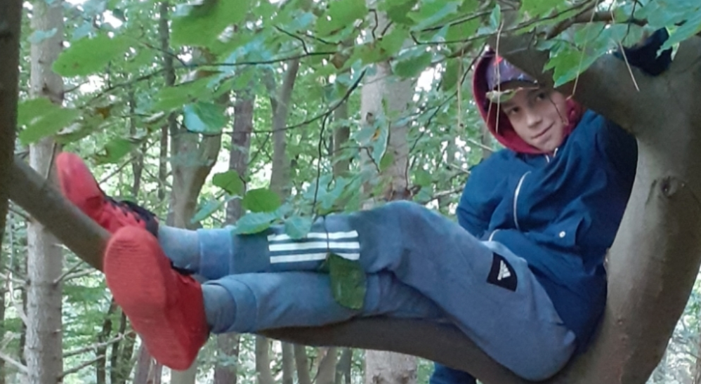 Steun Tikoen Olam project: Saul voor Trees for All. Kom in actie en ...