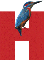 Logo Vogelopvangcentrum midden Nederland (Stichting)