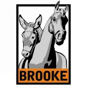 Logo Brooke Hospital for Animals Nederland