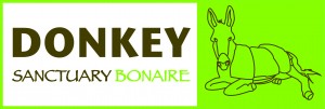 Steun en geef aan Donkey Sanctuary Bonaire