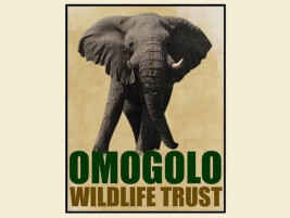 Logo Omogolo Wildlife Trust