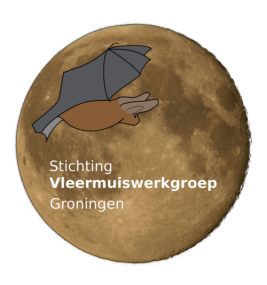 Logo Stichting Vleermuiswerkgroep Groningen