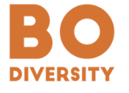 Logo BO Diversity