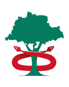 Logo Stichting Plantations Forestières du Noun