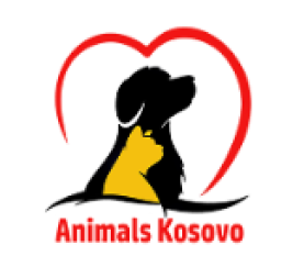 Logo Stichting Animals Kosovo
