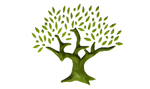 Logo Plant olijfbomen