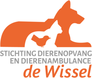 Logo Collecte Dierenopvang en Dierenambulance de Wissel 2025