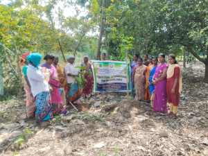 Logo Plenty SWEET Vegetables for India