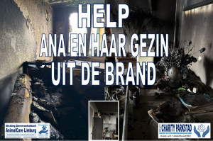 Logo Help Ana en haar gezin uit de brand